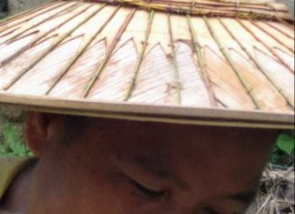 Entre parentesis. 200 días en Asia. La ola