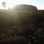 IMG_20181122_060941_076