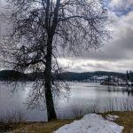 IMG_20190303_103333_745