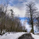 IMG_20190303_103724_715