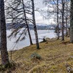 IMG_20190303_104910_486