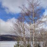 IMG_20190303_110336_924