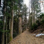 IMG_20190303_132334_526