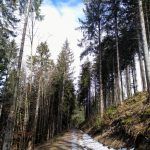 IMG_20190303_132730_702
