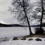 IMG_20190303_135509_595