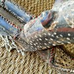 IMG_20190425_200110_367