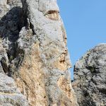 IMG_20190706_163925