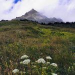 IMG_20190713_105427