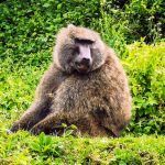 IMG_20190905_122320