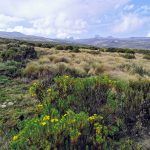 IMG_20190906_093601