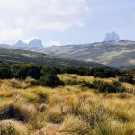 IMG_20190906_093609