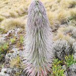 IMG_20190906_122650