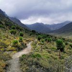 IMG_20190907_111007