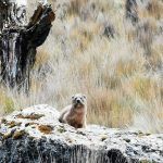 IMG_20190907_112335