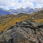 IMG_20190908_122826