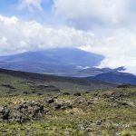 IMG_20190908_135021