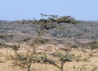 Kenia (2) Hell’s Gate y Mount Suswa. Los masai. Pole, pole.