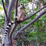 IMG_20191026_174453