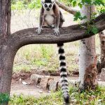 IMG_20191026_174624