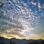 IMG_20191027_054010