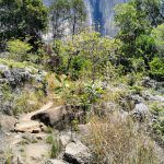 IMG_20191027_113112