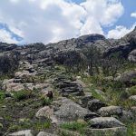 IMG_20191028_115239