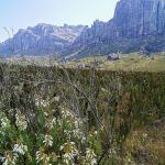 IMG_20191028_145115