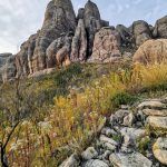 IMG_20191029_054617