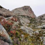 IMG_20191029_063022