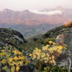 IMG_20191030_060312