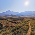 IMG_20191030_074555
