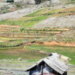 IMG_20191104_094322