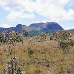 IMG_20191104_095845