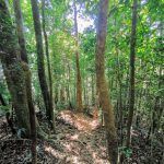 IMG_20191126_134005