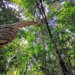 IMG_20191126_134532