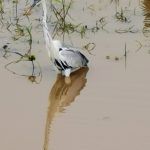 IMG_20191202_081443