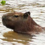 IMG_20191202_100352