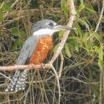 IMG_20191202_103308