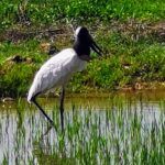 IMG_20191202_143424