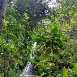 IMG_20191204_103534