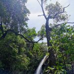 IMG_20191204_105122
