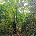 IMG_20191204_150606