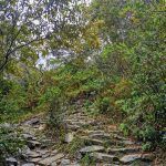 IMG_20191216_120433