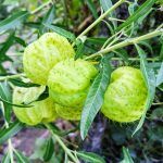 IMG_20191217_171124