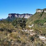 IMG_20191219_151931
