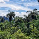IMG_20191226_102743