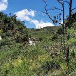 IMG_20191226_123149