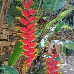 IMG_20191227_112307