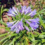 IMG_20191231_112603