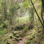 IMG_20200102_112541
